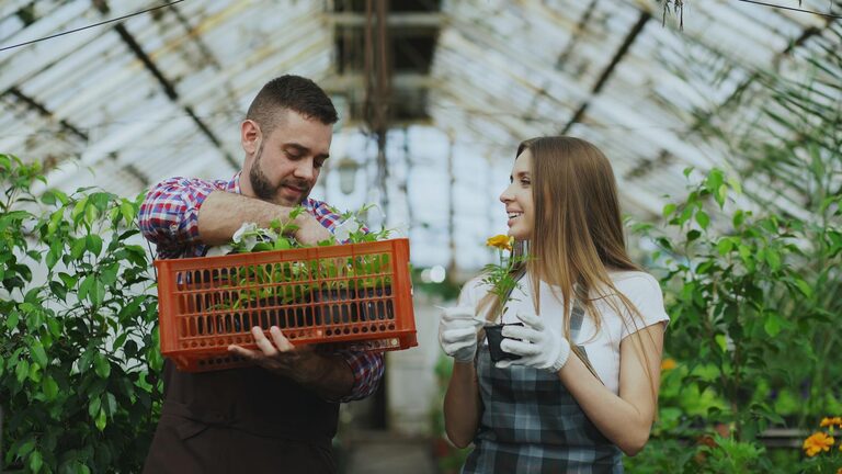 How to Create a Sustainable Home Garden All Year Round
