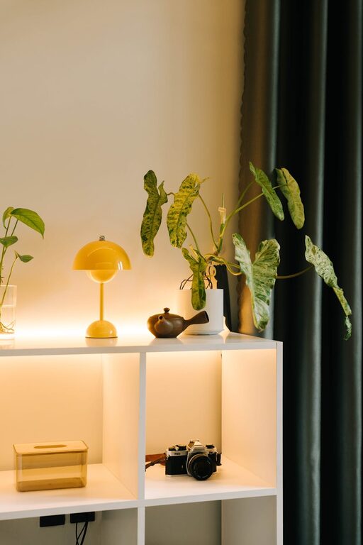 Cozy Living Rooms on a Budget: Simple Tips to Create an Inviting Space